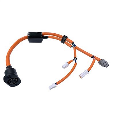 Two wheels balance electric car wiring harness Two wheels balance electric car wiring harness